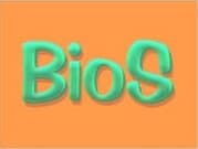 bios